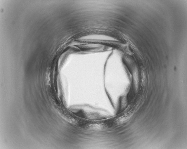 X0000059100259200511041921