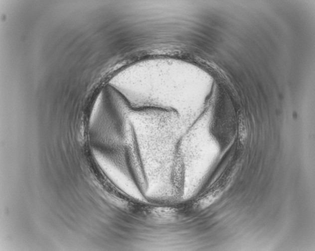 X0000059100261200511041921