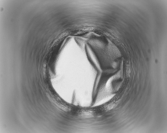 X0000059100263200511041921