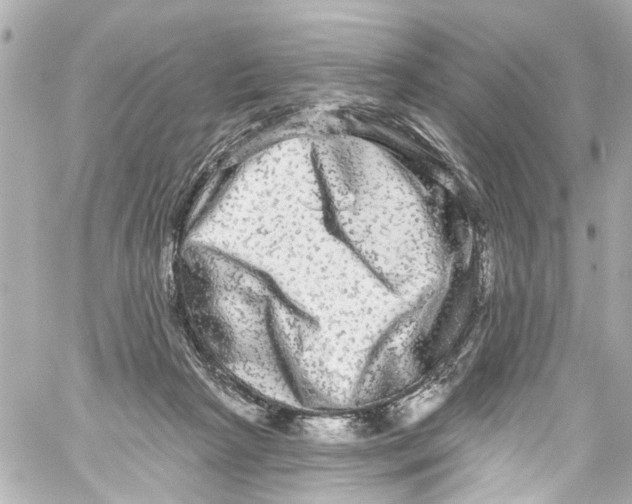 X0000059100265200511041921