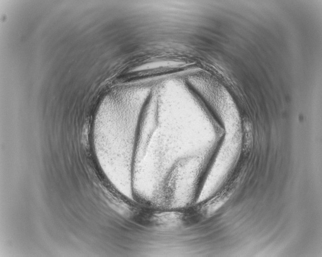 X0000059100269200511041921