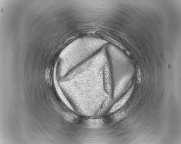 X0000059100270200511041921