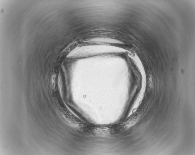 X0000059100271200511041921