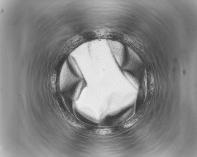 X0000059100275200511041921