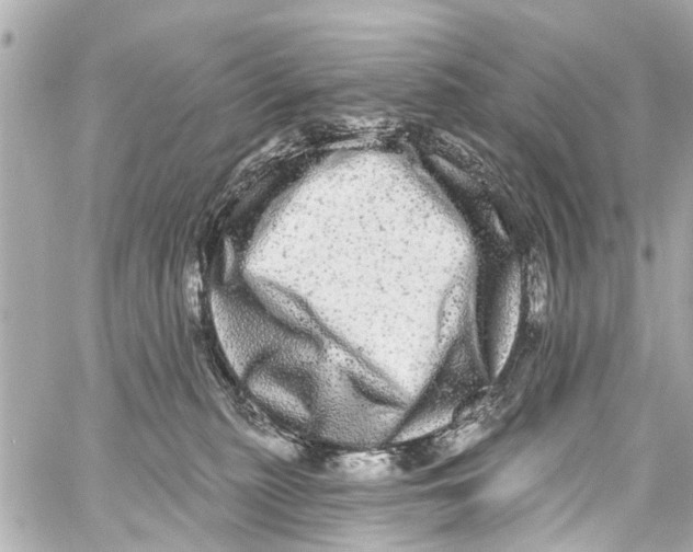 X0000059100279200511041921