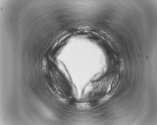 X0000059100281200511041921