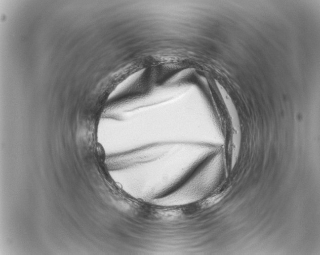 X0000059100283200511041921
