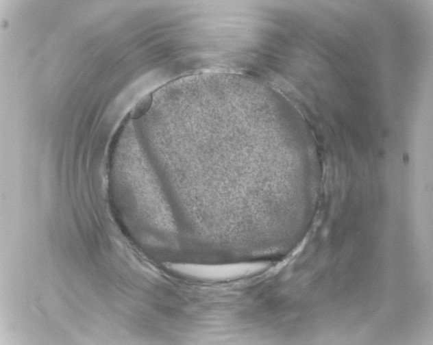 X0000059100290200511041921