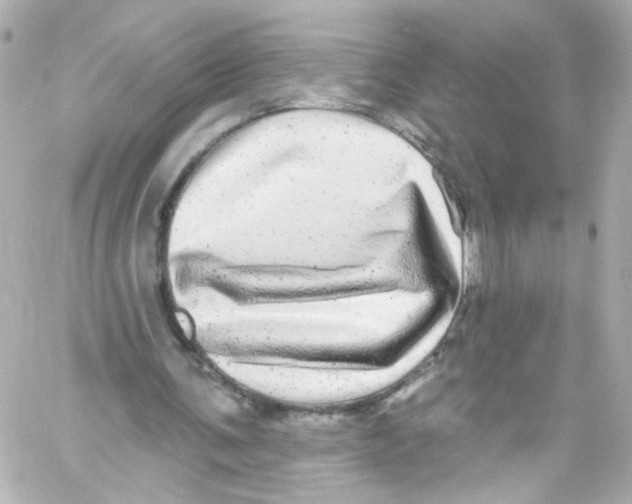 X0000059100291200511041921