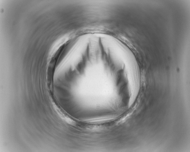 X0000059100293200511041921