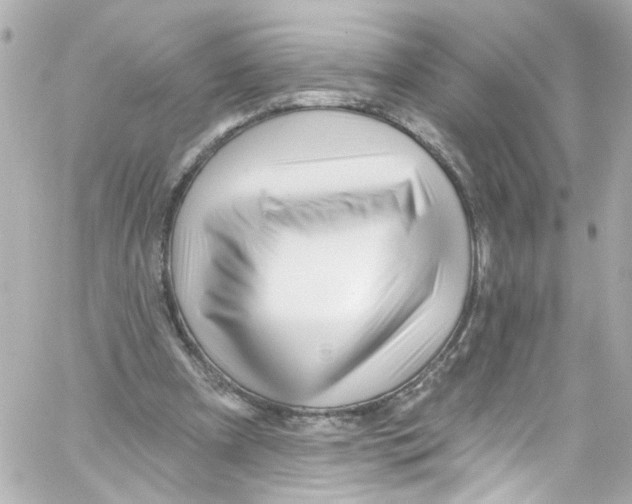 X0000059100297200511041921