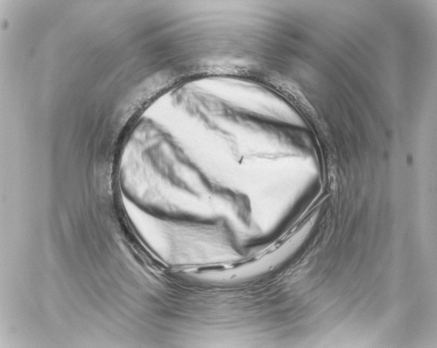 X0000059100299200511041921