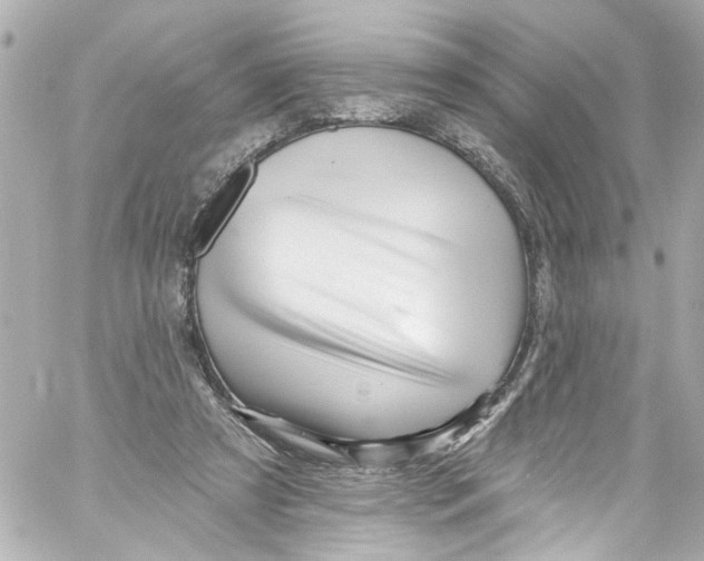 X0000059100305200511041920