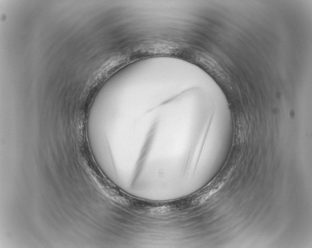 X0000059100309200511041920
