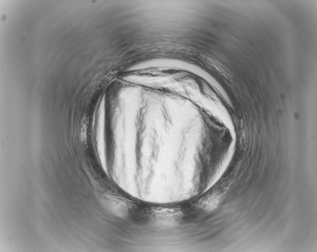 X0000059100315200511041920