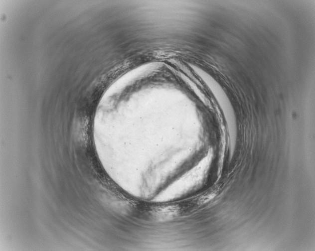 X0000059100319200511041920