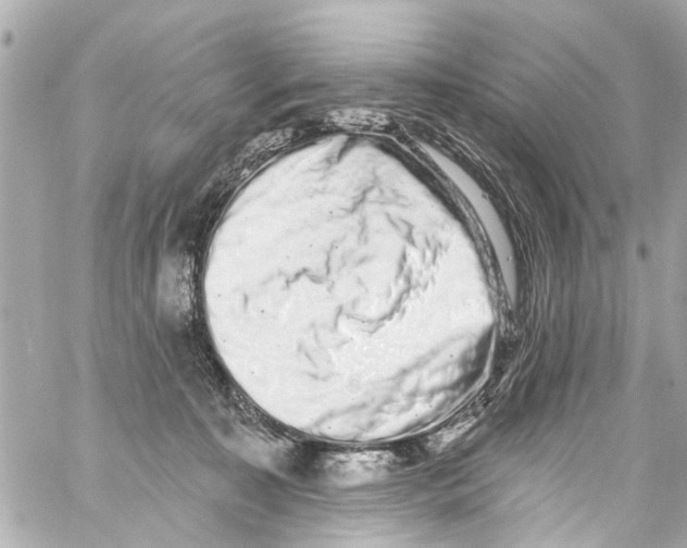 X0000059100323200511041920