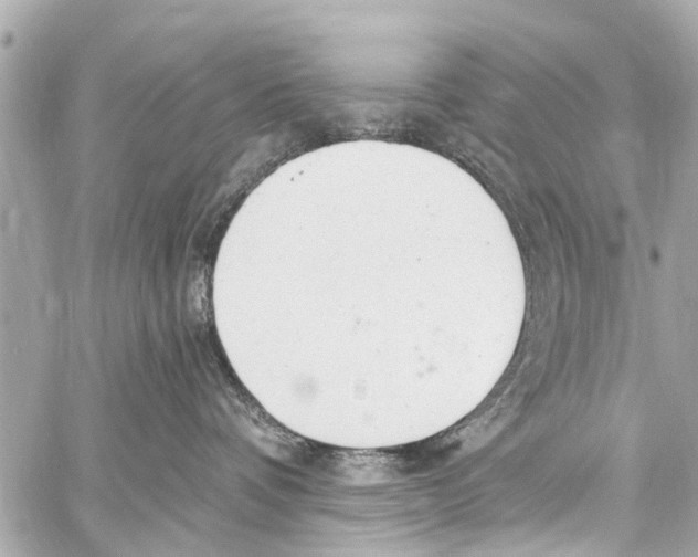 X0000059100336200511041920