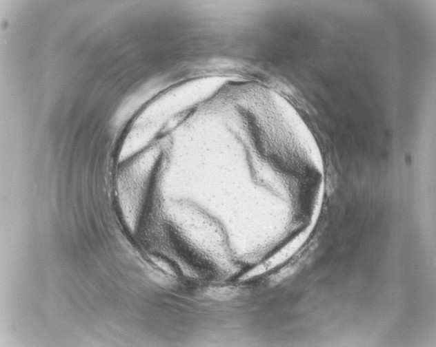X0000059100341200511041919