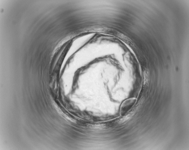 X0000059100349200511041919