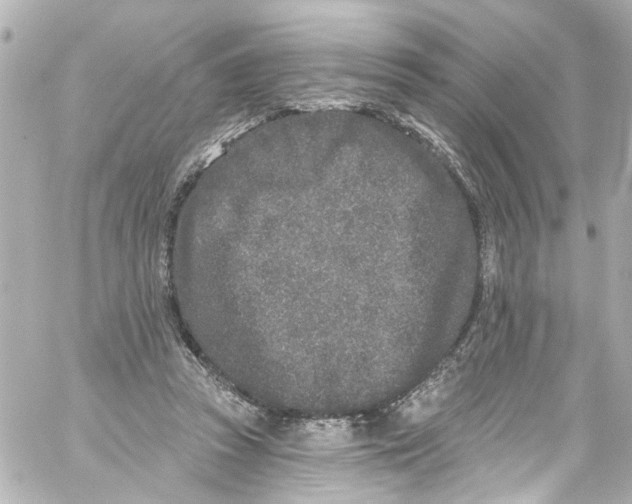 X0000059100353200511041919