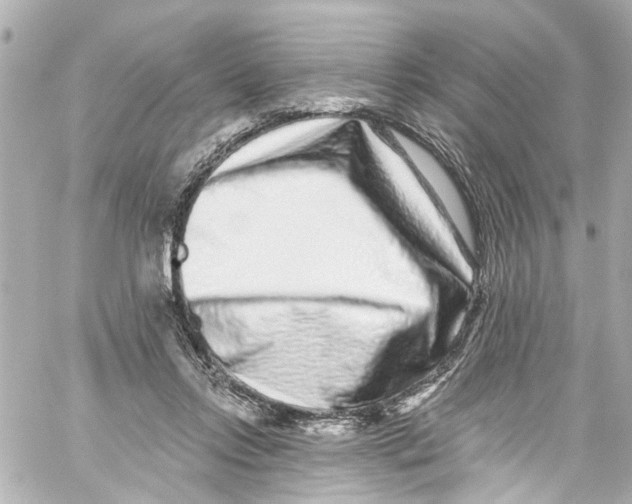 X0000059100358200511041919