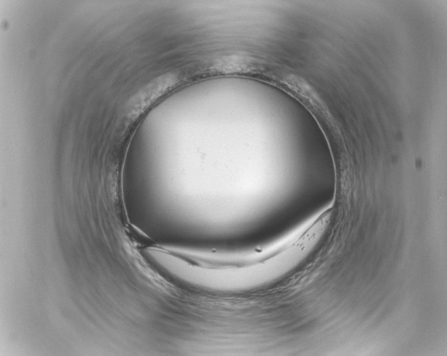 X0000059100393200511041919