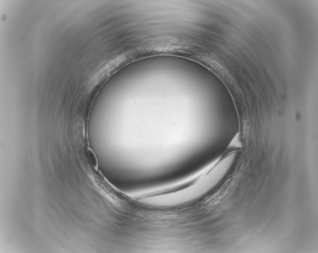 X0000059100397200511041919