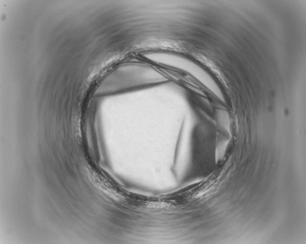 X0000059100399200511041919