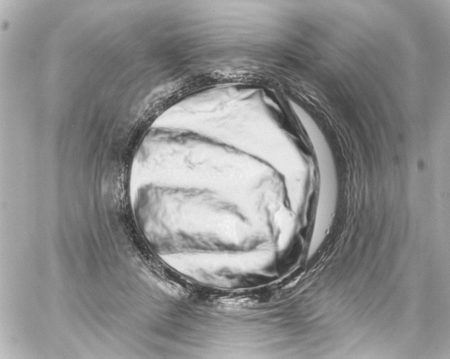 X0000059100408200511041919