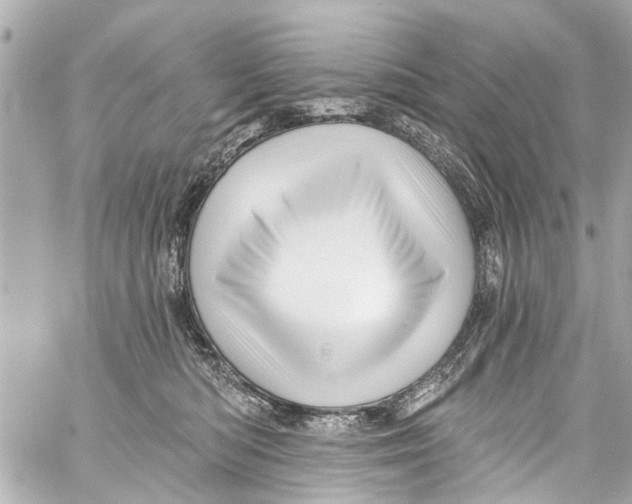 X0000059100422200511041918