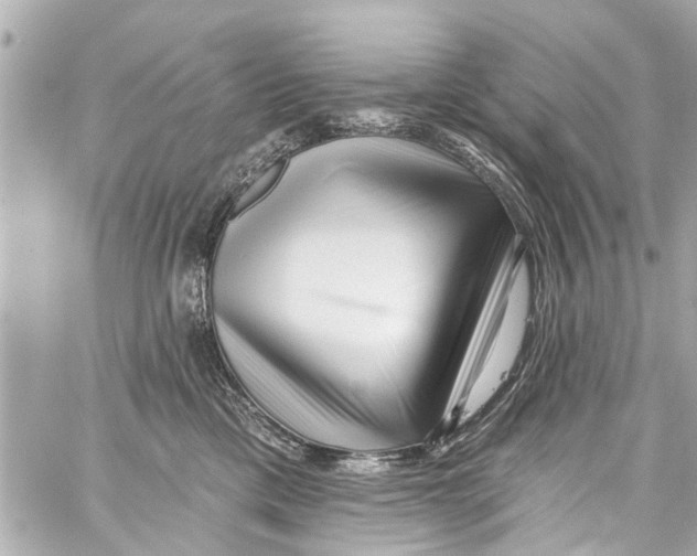 X0000059100425200511041918