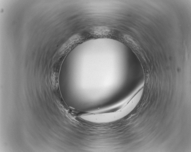 X0000059100428200511041918