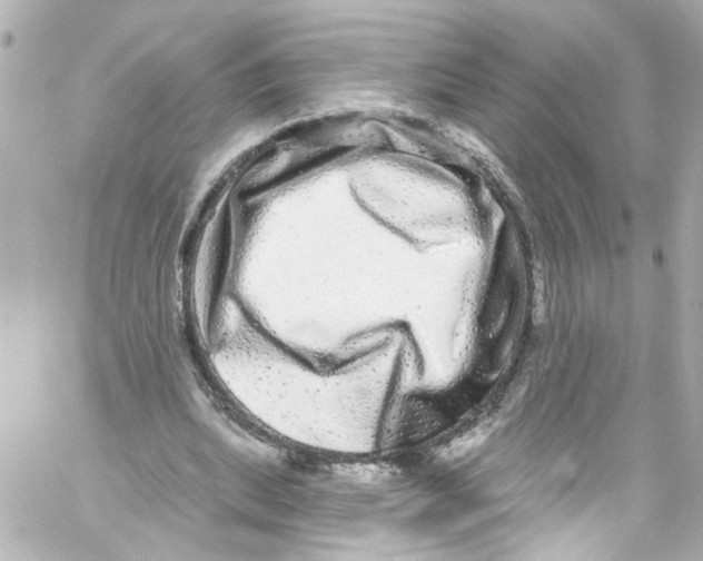 X0000059100439200511041918