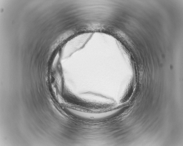 X0000059100443200511041918