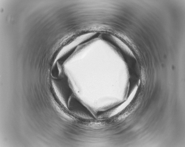 X0000059100445200511041918