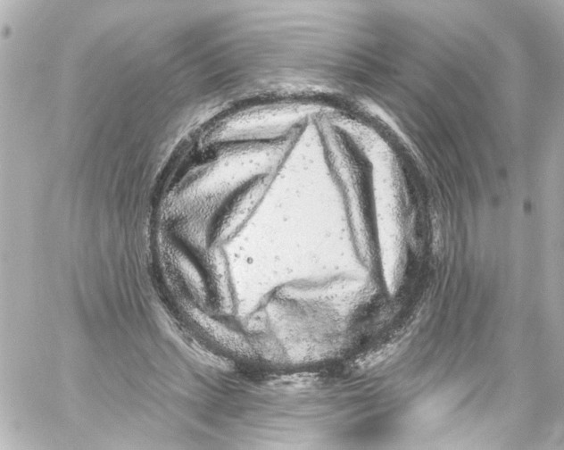 X0000059100447200511041918