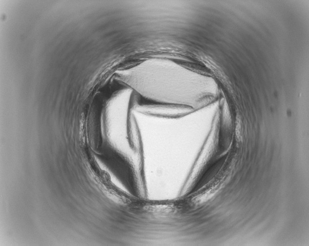 X0000059100449200511041918
