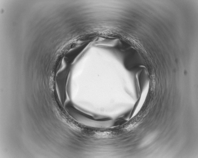 X0000059100450200511041918