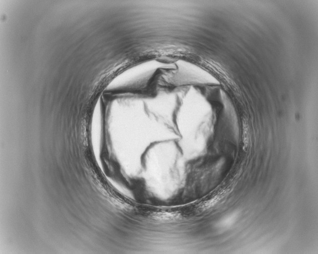 X0000059100453200511041918