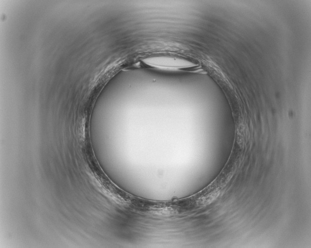 X0000059100454200511041918