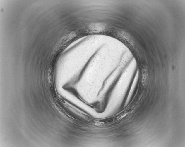 X0000059100455200511041918