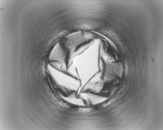 X0000059100457200511041918