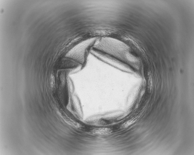 X0000059100459200511041918