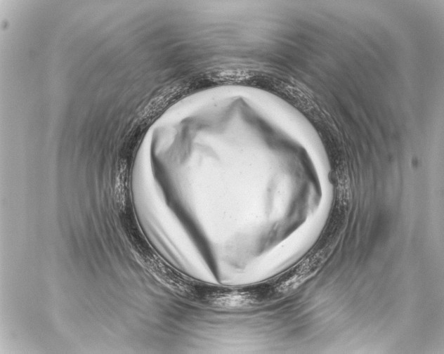 X0000059100460200511041918