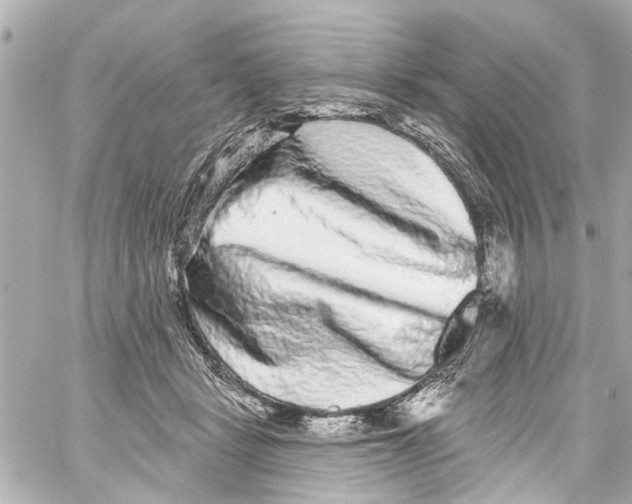 X0000059100461200511041918
