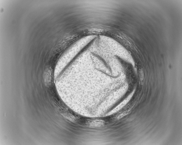 X0000059100463200511041918