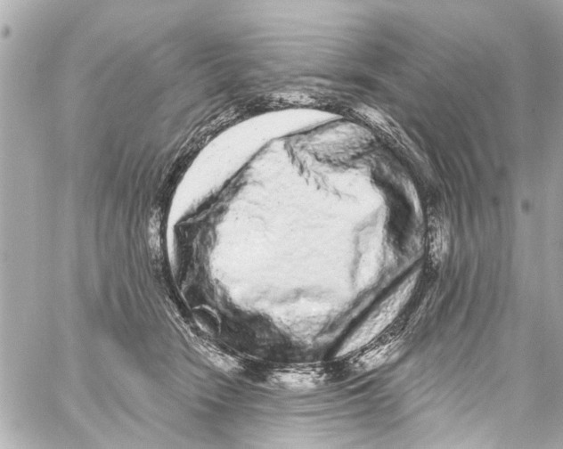 X0000059100466200511041918