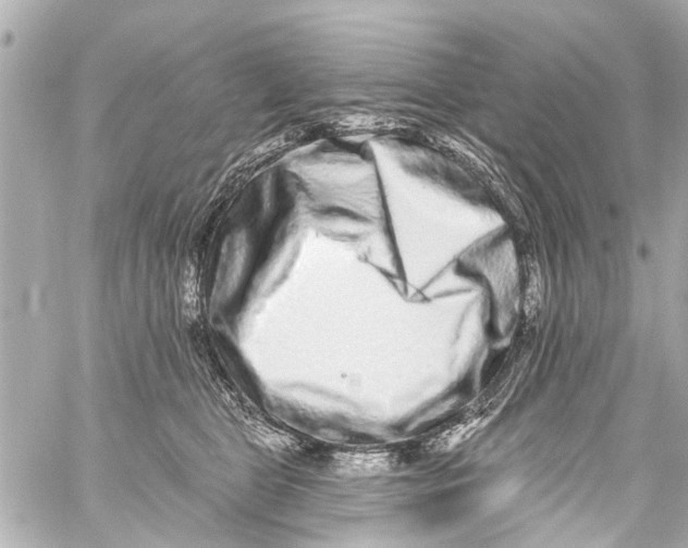 X0000059100469200511041918