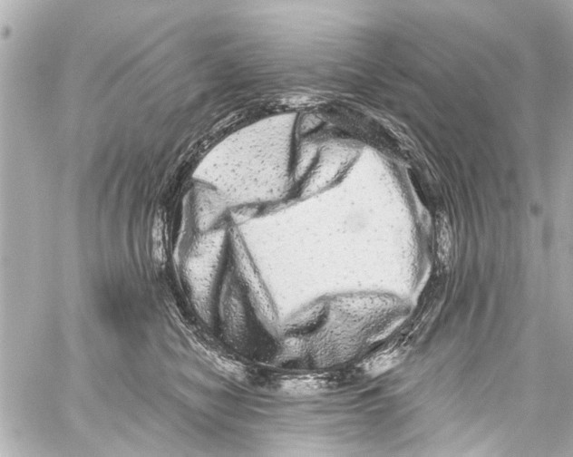 X0000059100470200511041918